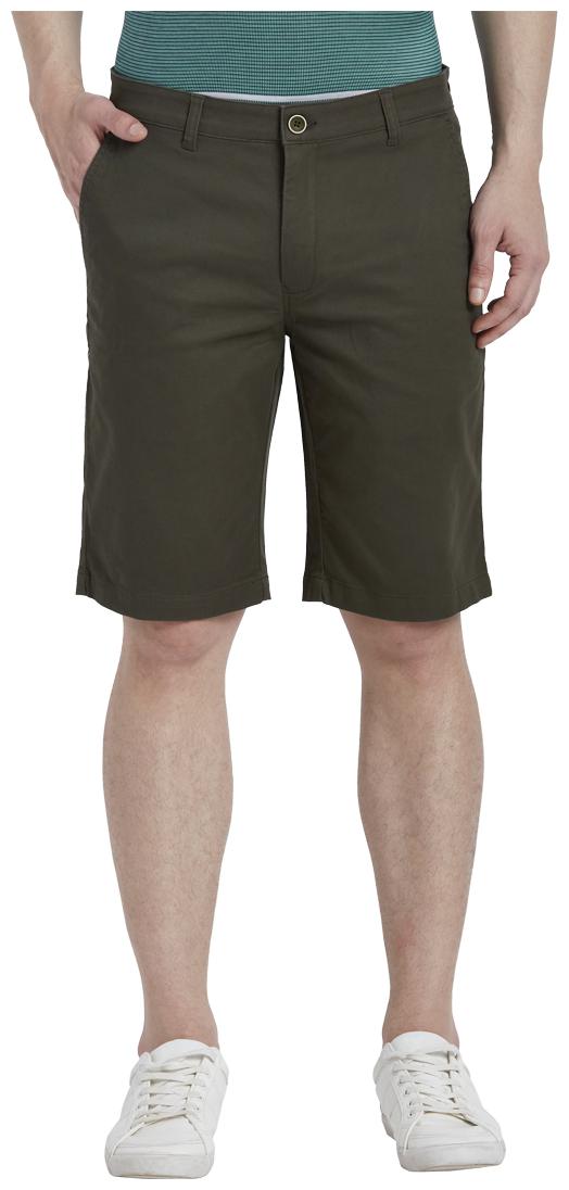 

ColorPlus Men Green Regular Fit Regular Shorts