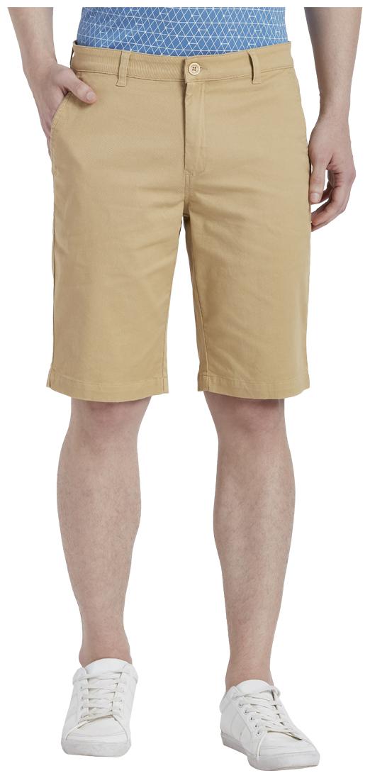 

ColorPlus Men Beige Regular Fit Regular Shorts
