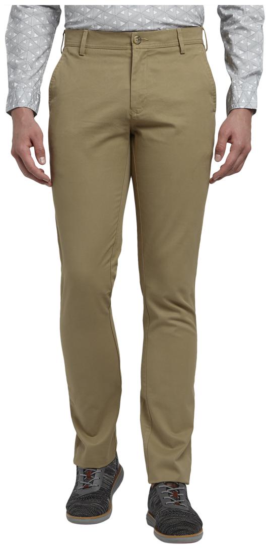 

ColorPlus Men Brown Solid Regular fit Regular trousers