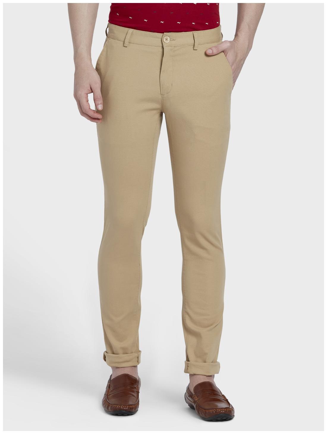 

ColorPlus Men Brown Solid Regular fit Regular trousers