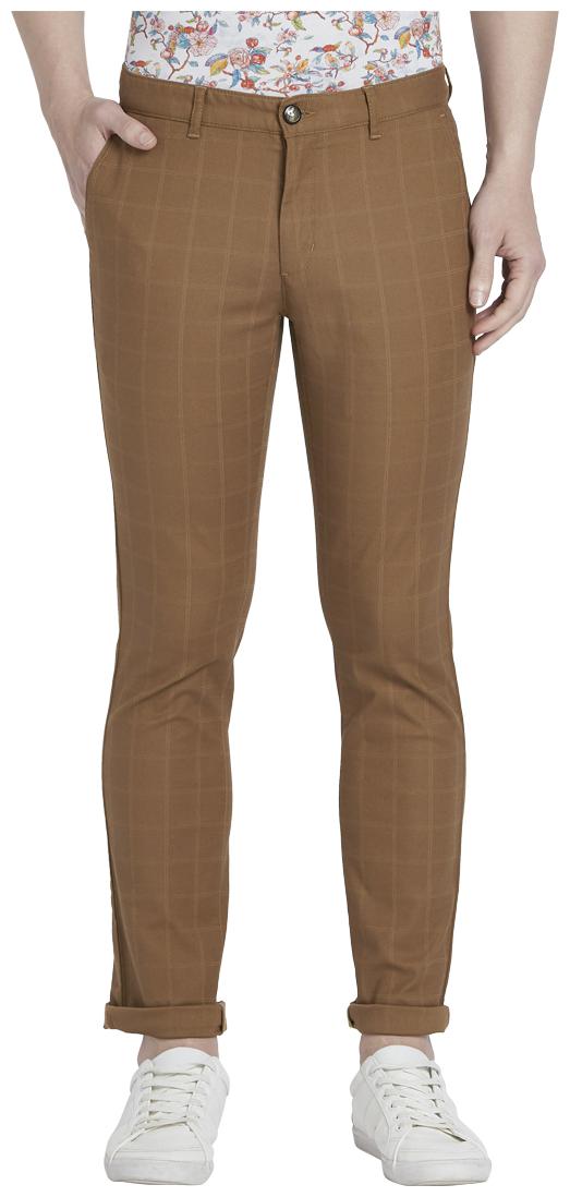 

ColorPlus Men Brown Checked Regular fit Regular trousers