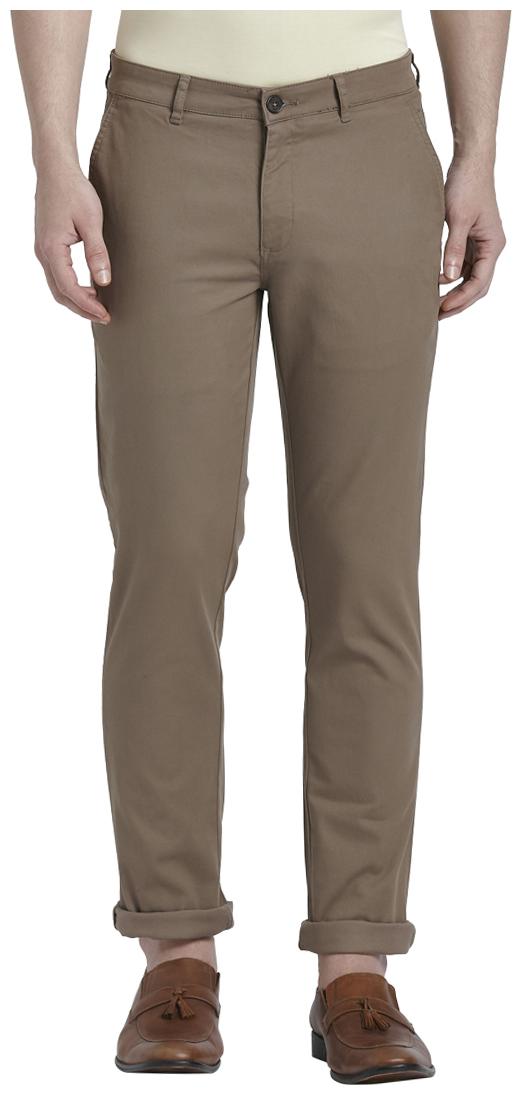 

ColorPlus Men Brown Solid Regular fit Regular trousers