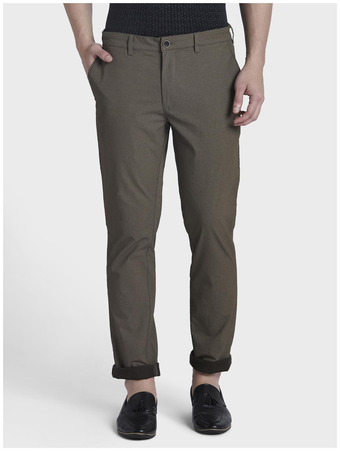 

ColorPlus Men Brown Printed Regular fit Regular trousers