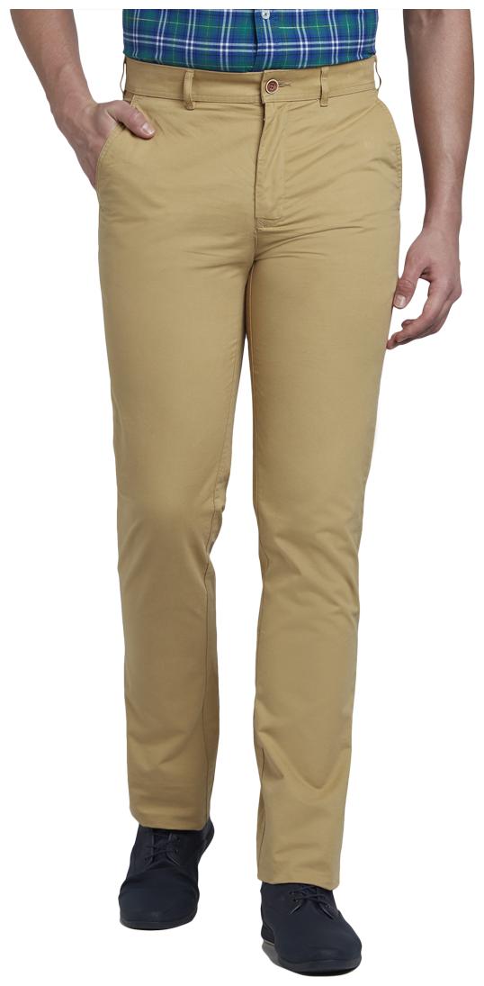 

ColorPlus Men Beige Solid Regular fit Regular trousers