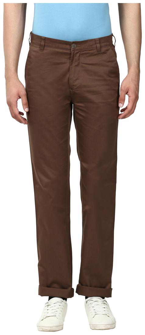 

ColorPlus Men Brown Solid Regular fit Regular trousers
