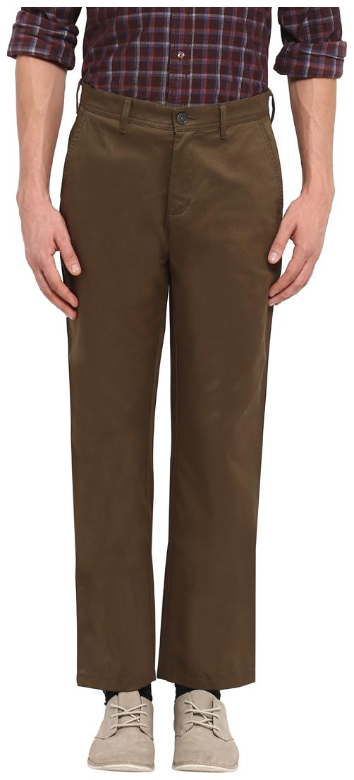 

ColorPlus Men Brown Solid Regular fit Regular trousers