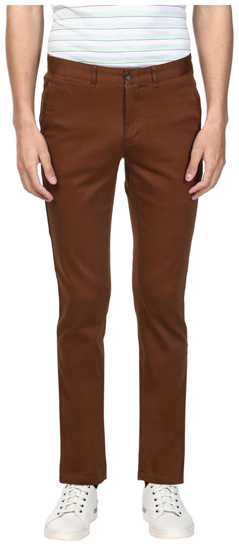 

ColorPlus Men Brown Solid Regular fit Regular trousers