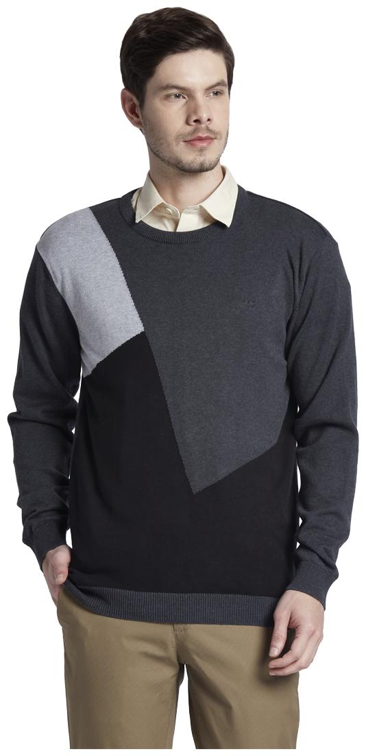 

ColorPlus Grey Sweaters