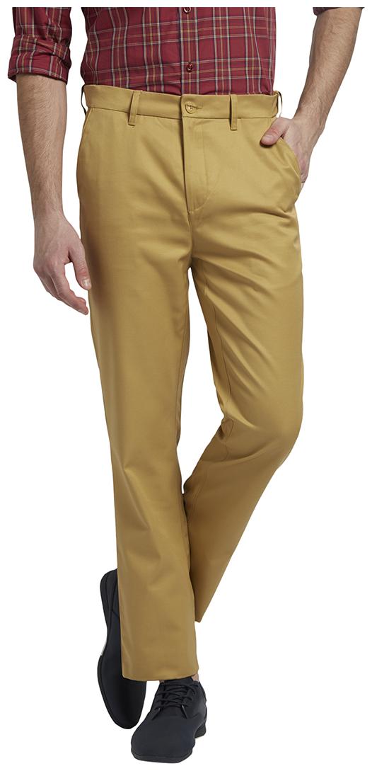 ColorPlus Men Beige Solid Slim fit Regular trousers