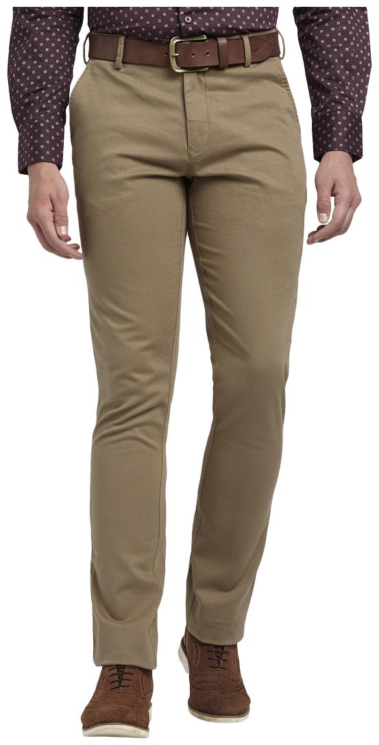 

ColorPlus Men Brown Solid Regular fit Regular trousers