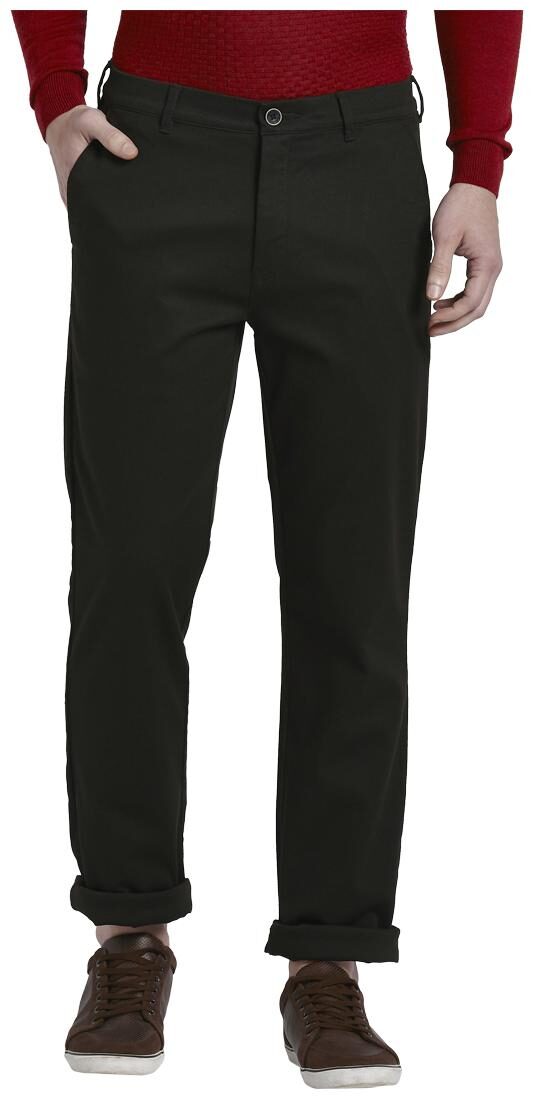 

ColorPlus Men Brown Solid Regular fit Regular trousers