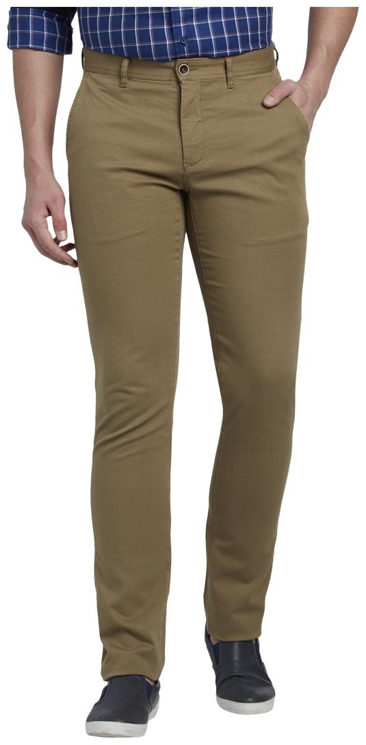 

ColorPlus Men Green Textured Regular fit Regular trousers