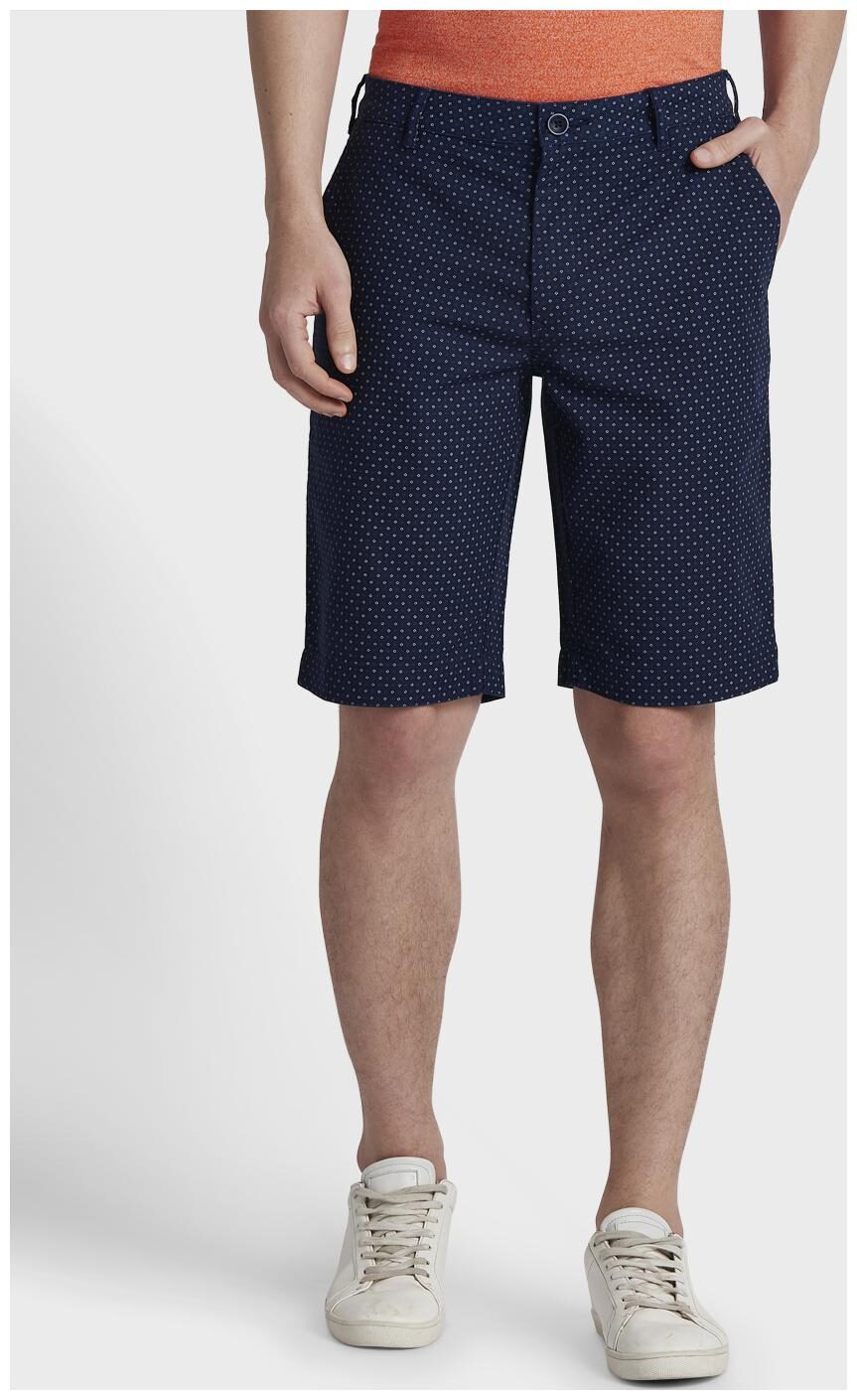 

ColorPlus Men Blue Regular Fit Regular Shorts