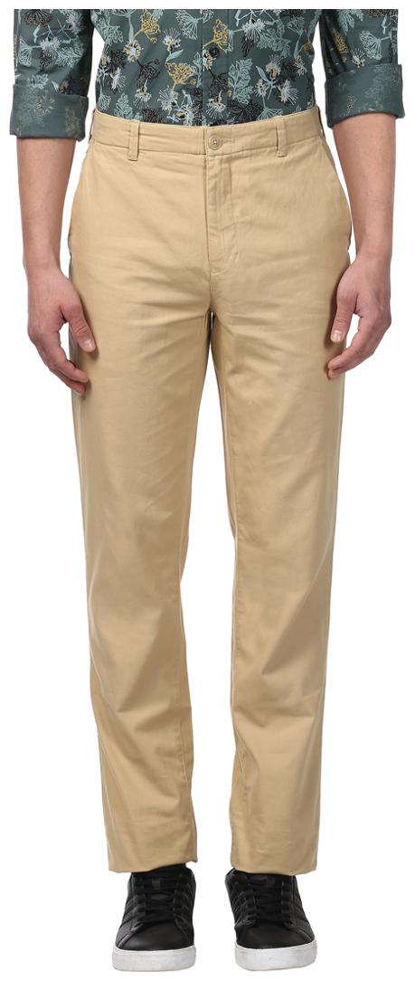 

ColorPlus Men Brown Solid Regular fit Chinos