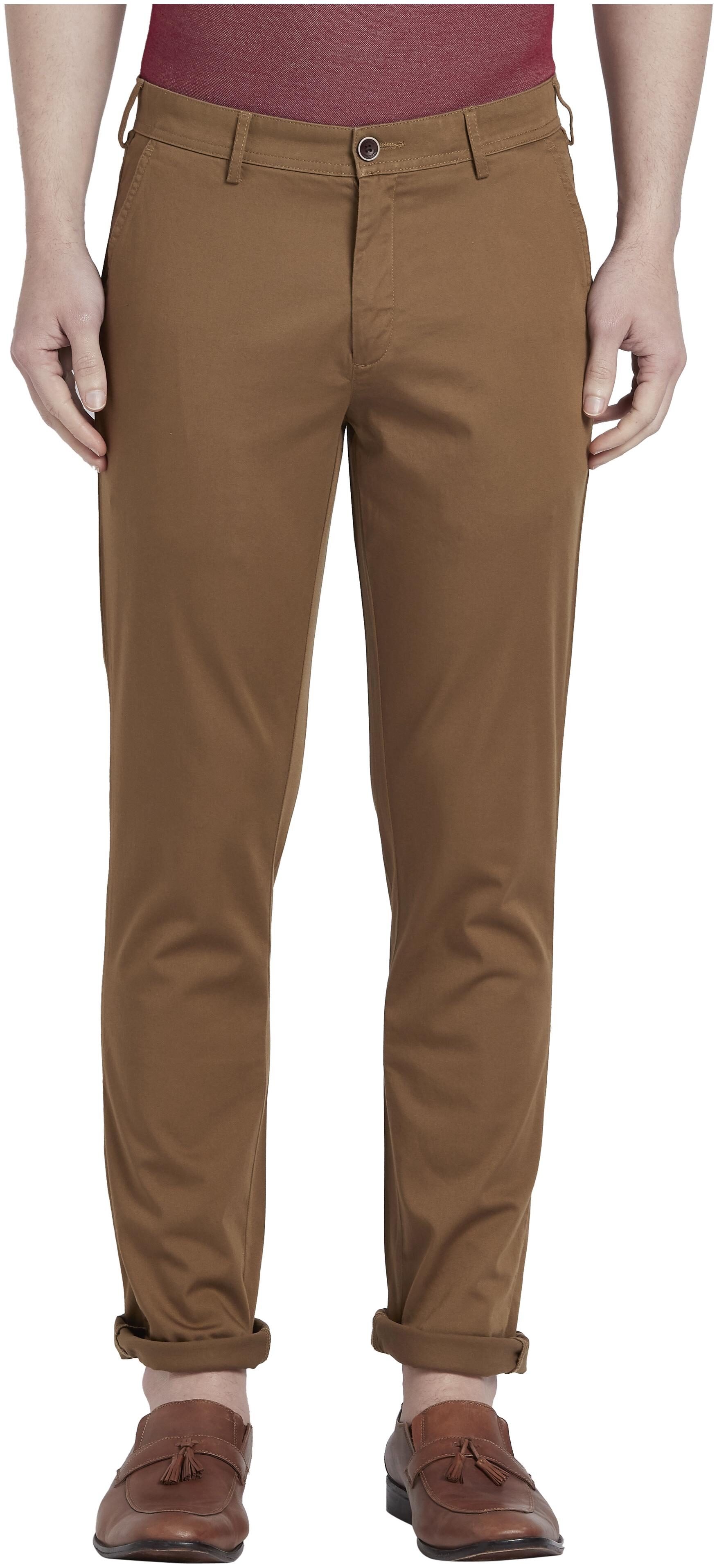 

ColorPlus Men Brown Solid Regular fit Regular trousers