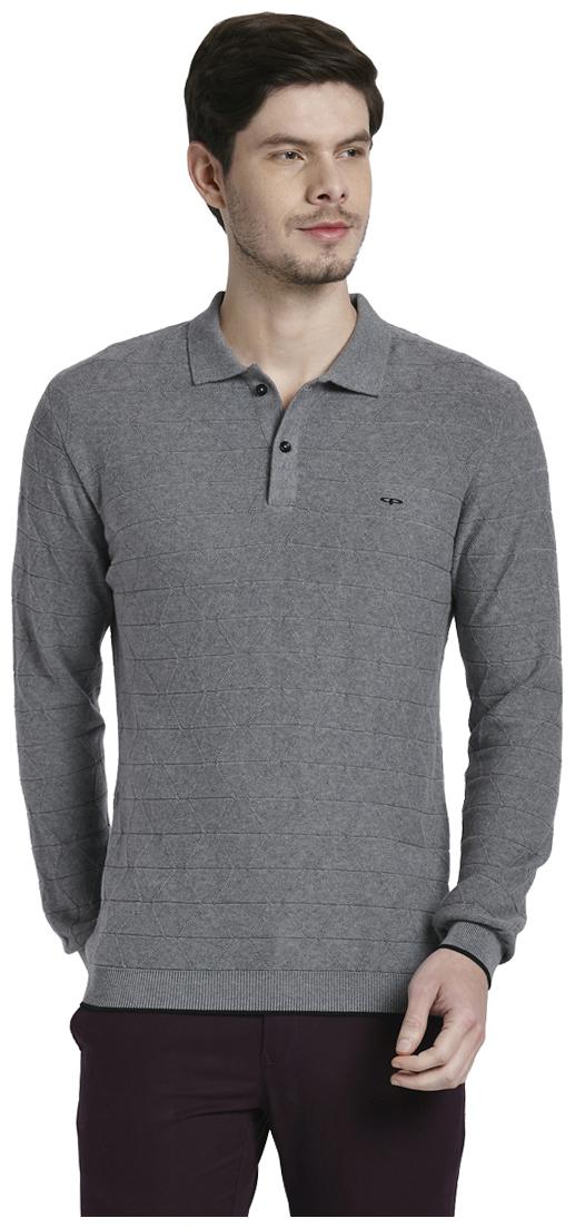 

ColorPlus Men Grey Regular fit Cotton Polo collar T-Shirt - Pack Of 1