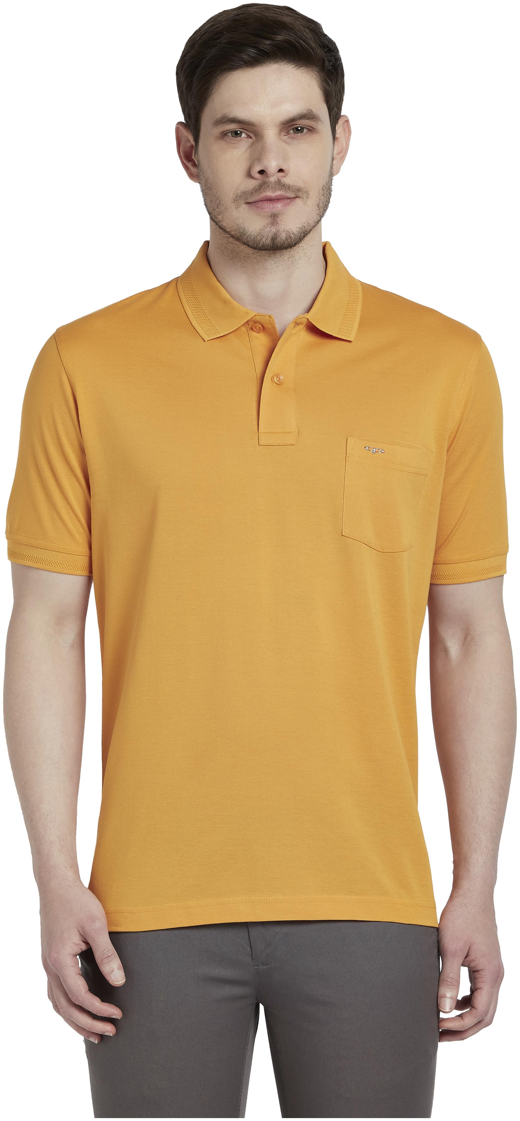 

ColorPlus Men Yellow Regular fit Cotton Polo collar T-Shirt - Pack Of 1