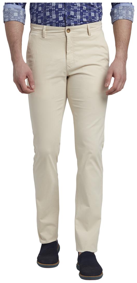 

ColorPlus Men Beige Solid Tapered fit Regular trousers