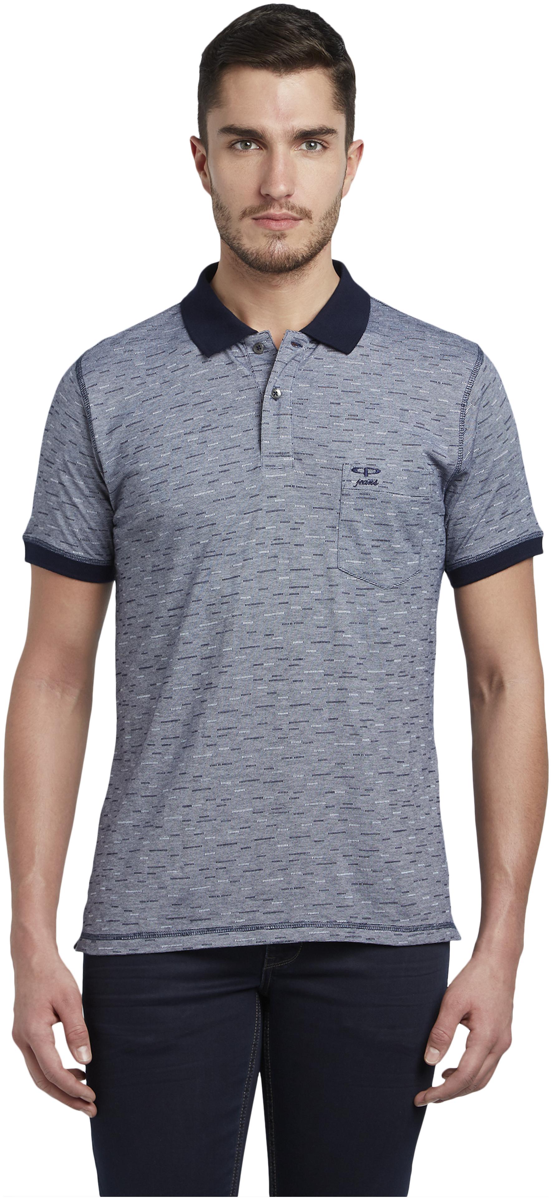 

ColorPlus Men Blue Regular fit Cotton Polo collar T-Shirt - Pack Of 1