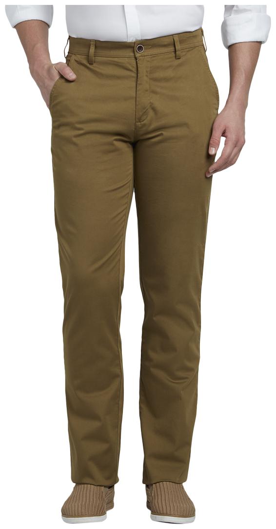 

ColorPlus Men Brown Solid Tapered fit Regular trousers