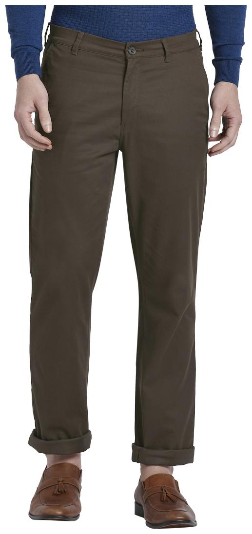 

ColorPlus Men Brown Solid Regular fit Regular trousers