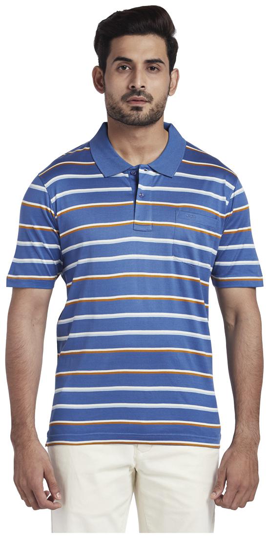 

ColorPlus Men Blue Regular fit Cotton Polo collar T-Shirt - Pack Of 1