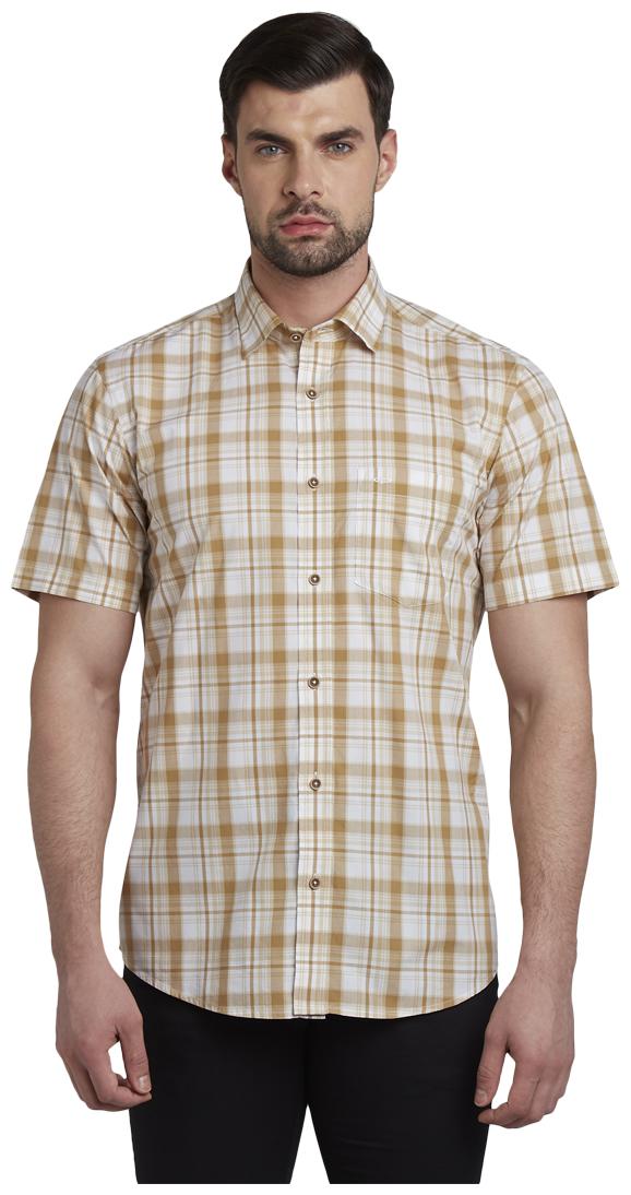 

ColorPlus Men Multi Checked Regular Fit Casual Shirt