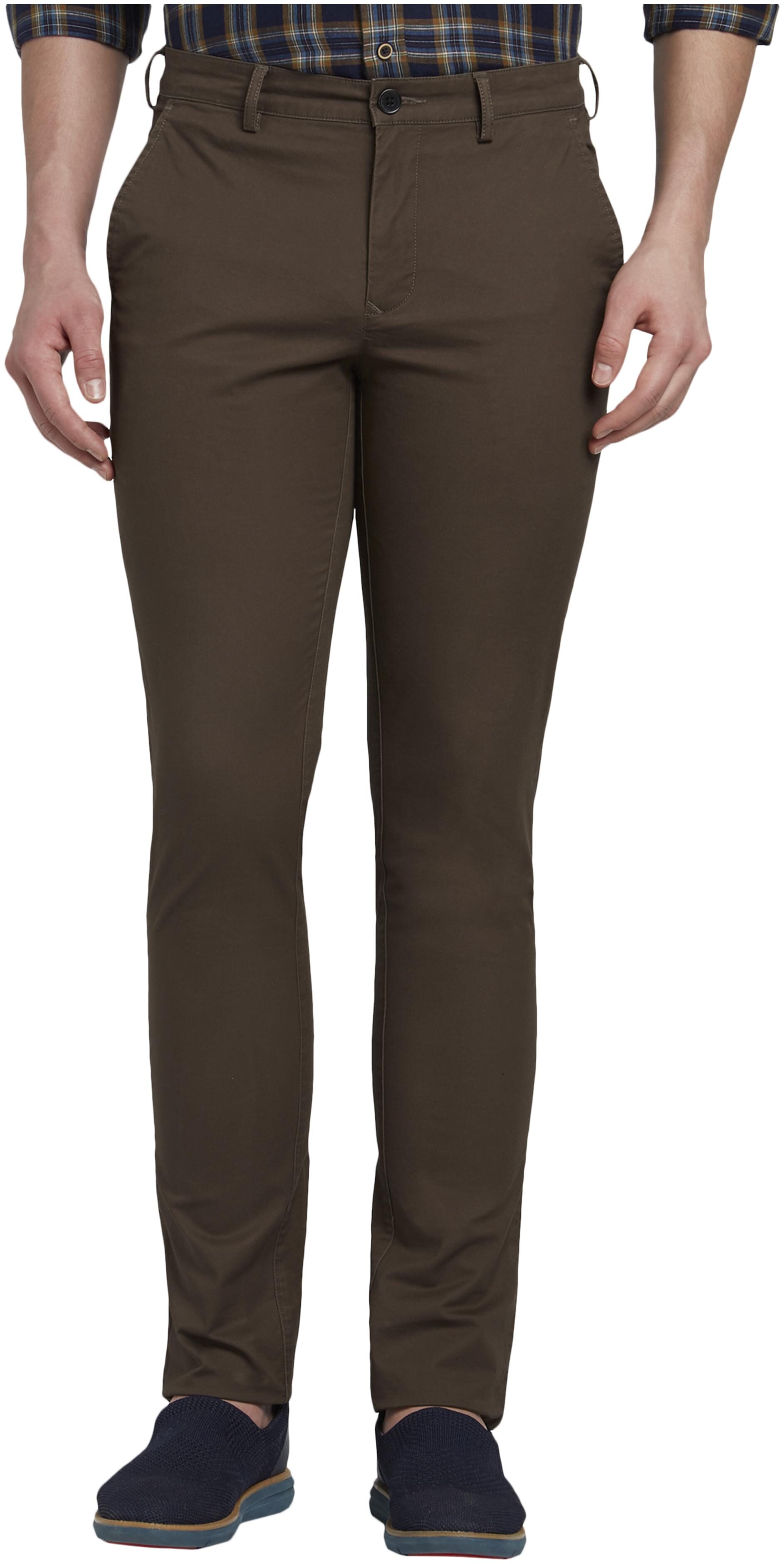 

ColorPlus Men Brown Solid Regular fit Regular trousers