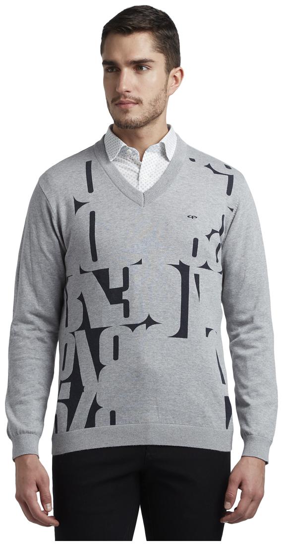 

ColorPlus Men Grey V neck Pullover