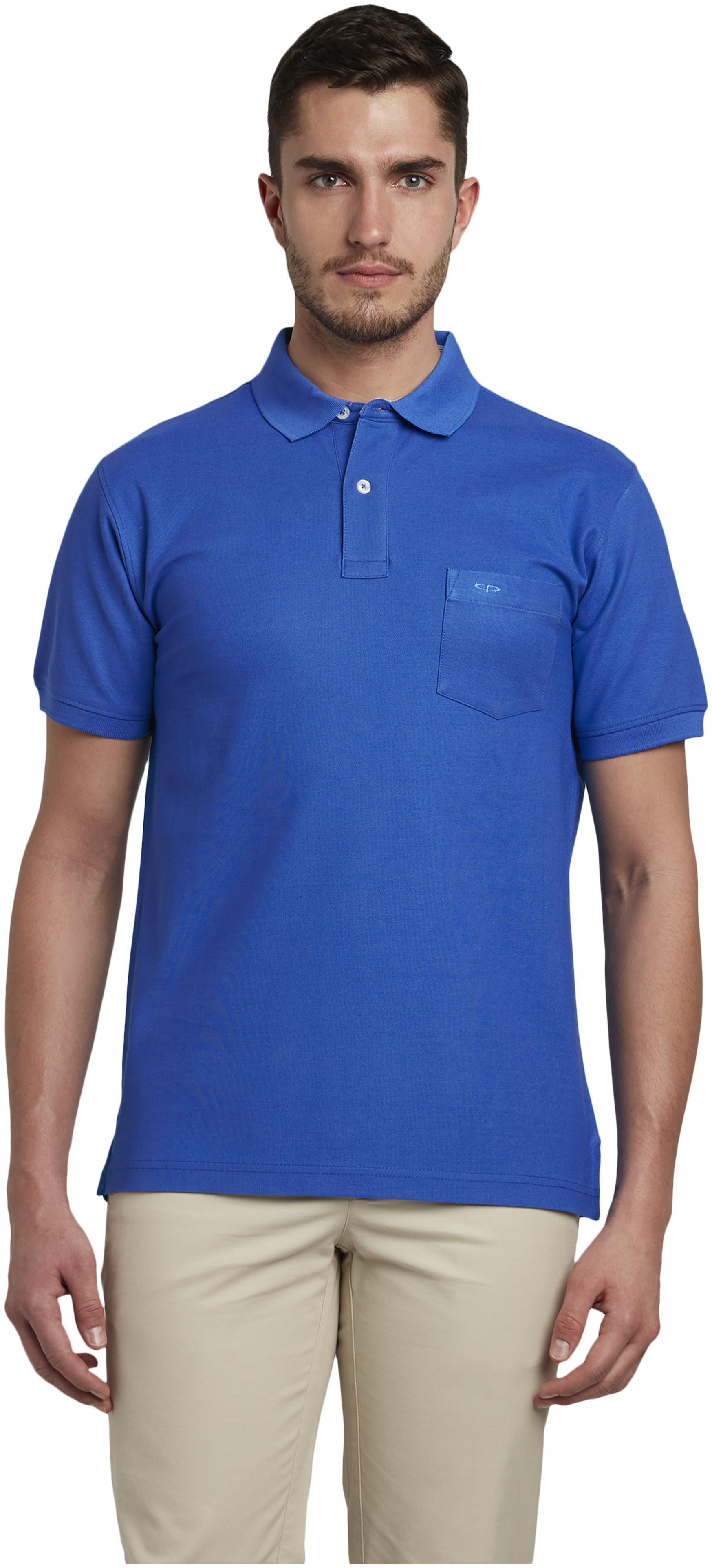 

ColorPlus Men Blue Regular fit Cotton Polo collar T-Shirt - Pack Of 1