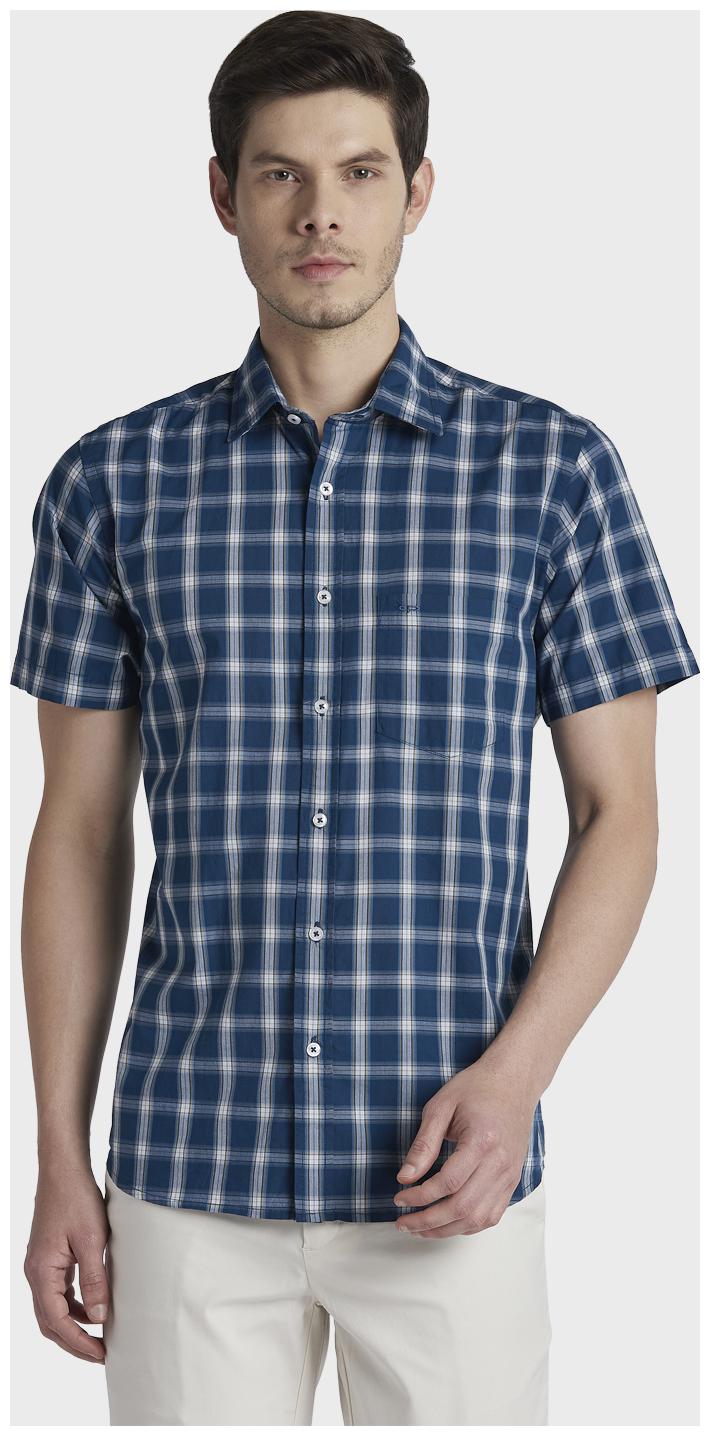 

ColorPlus Men Blue Checked Regular Fit Casual Shirt