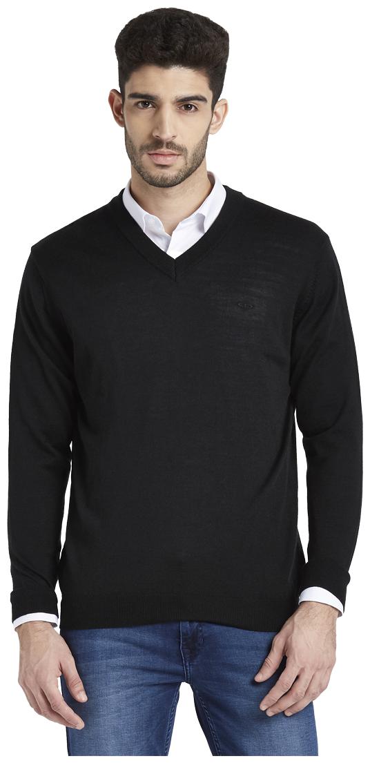 ColorPlus Men Black V neck Pullover
