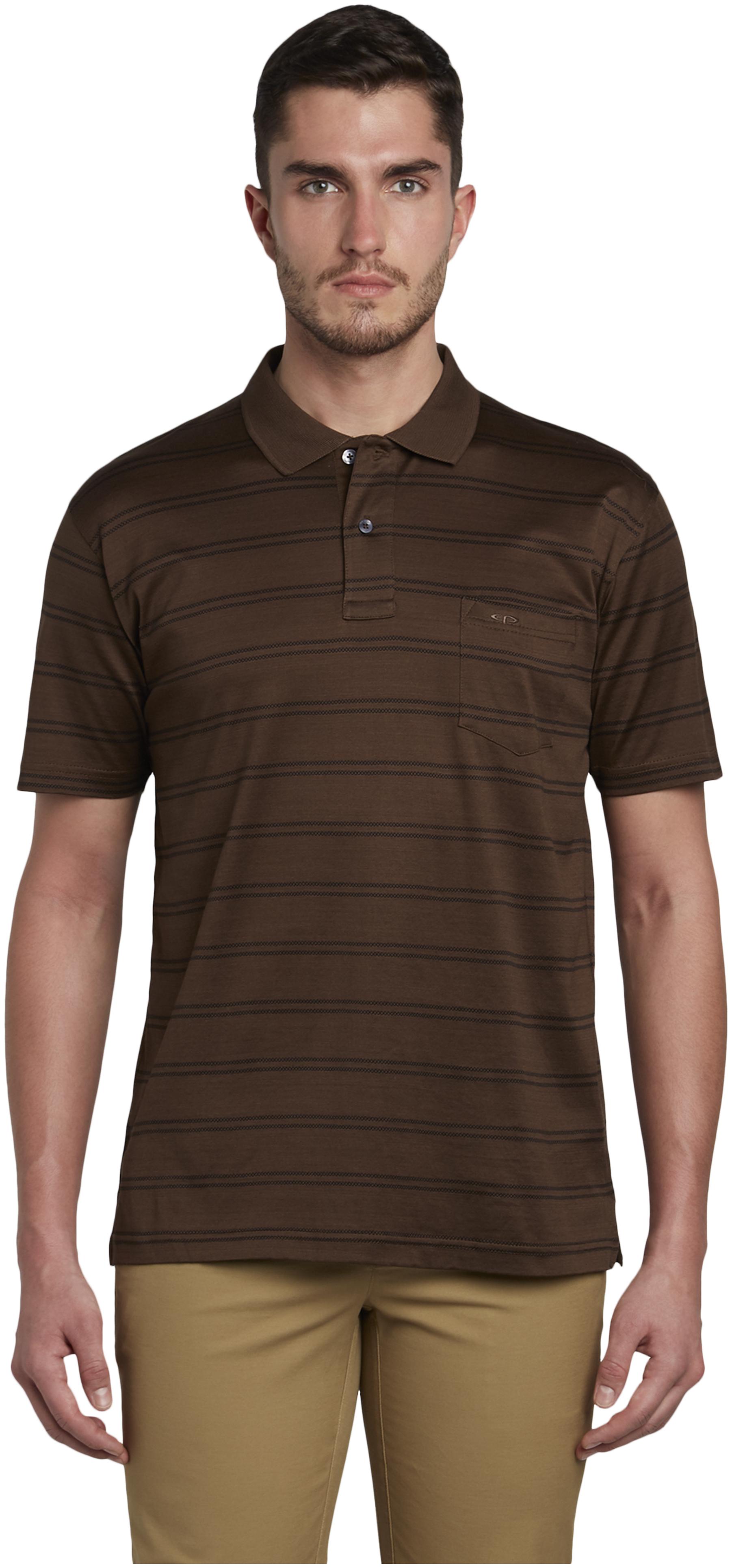 

ColorPlus Men Brown Regular fit Cotton Polo collar T-Shirt - Pack Of 1