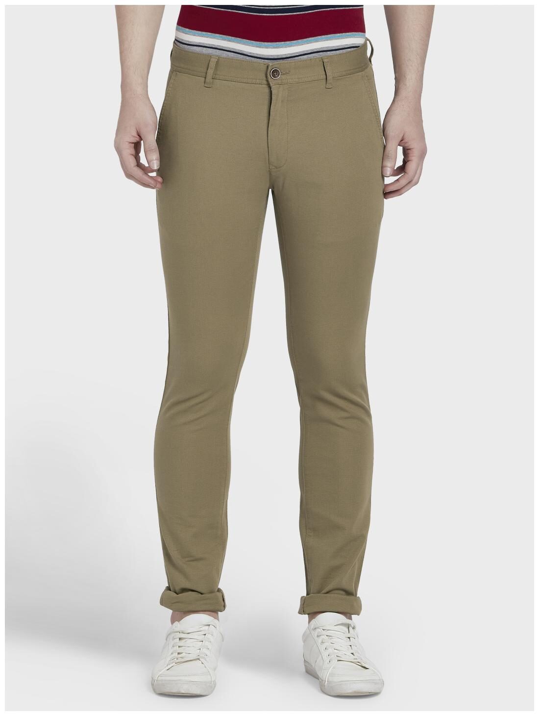 

ColorPlus Men Brown Solid Regular fit Regular trousers