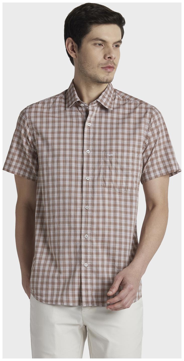 

ColorPlus Men Brown Checked Regular Fit Casual Shirt
