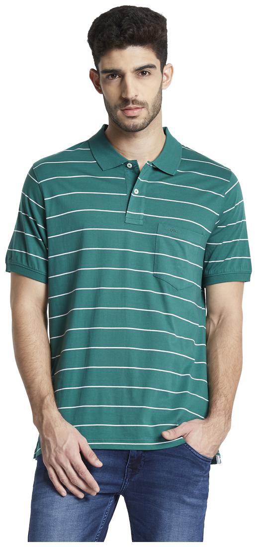 

ColorPlus Men Green Regular fit Cotton Polo collar T-Shirt - Pack Of 1