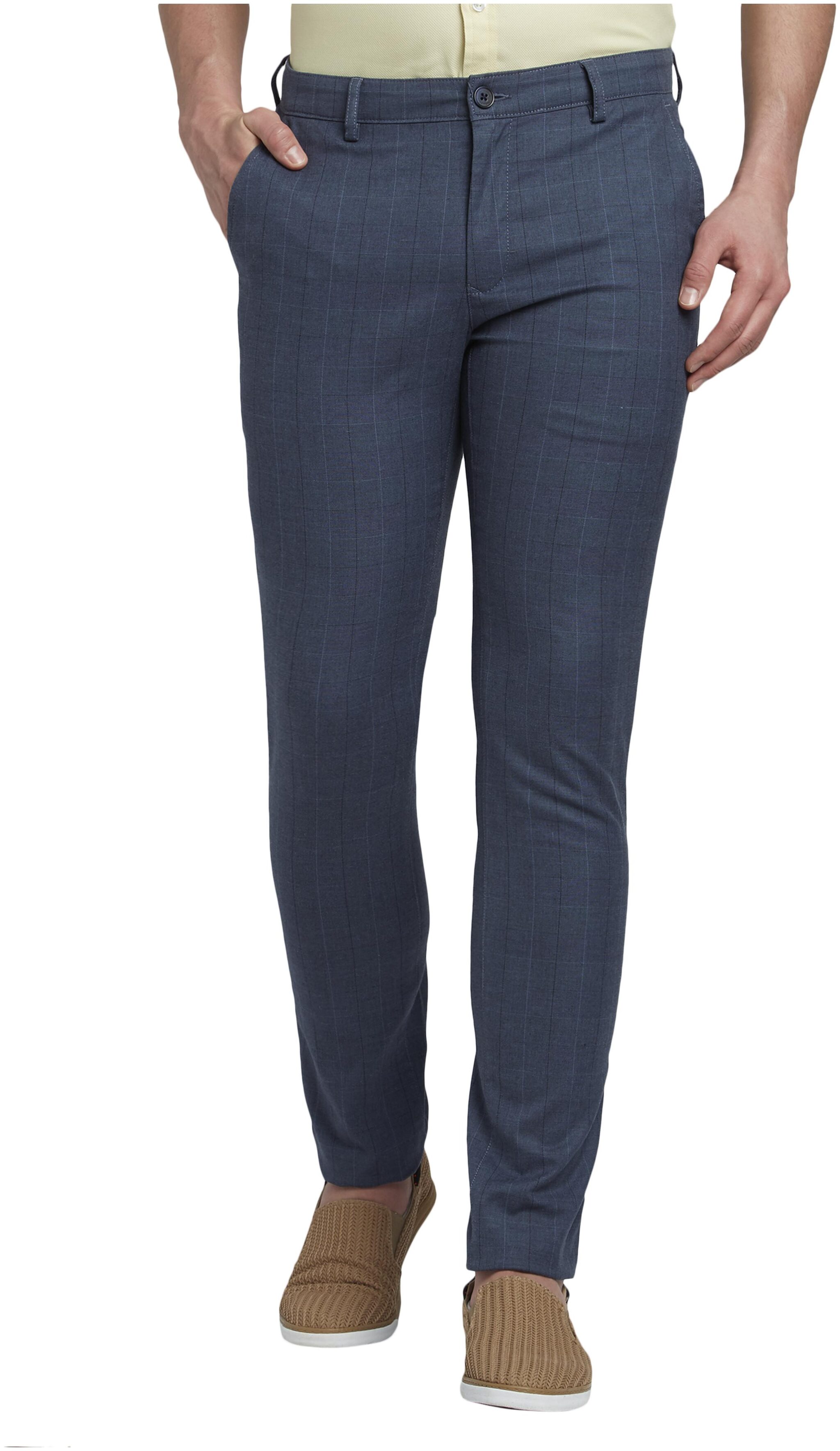 

ColorPlus Men Blue Checked Regular fit Regular trousers