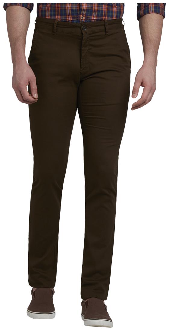 

ColorPlus Men Brown Solid Regular fit Regular trousers