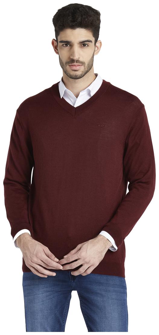 

ColorPlus Men Maroon V neck Pullover