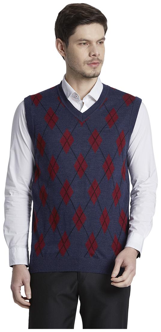

ColorPlus Men Blue V neck Pullover