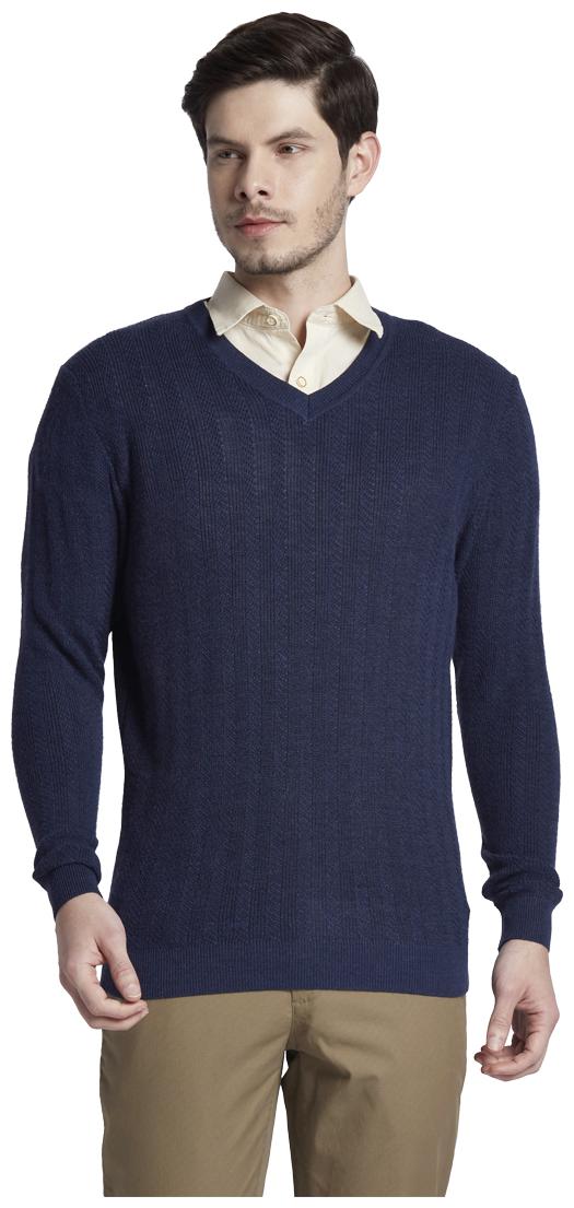 

ColorPlus Navy Sweaters