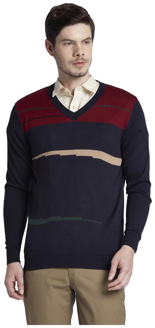 

ColorPlus Navy Sweaters