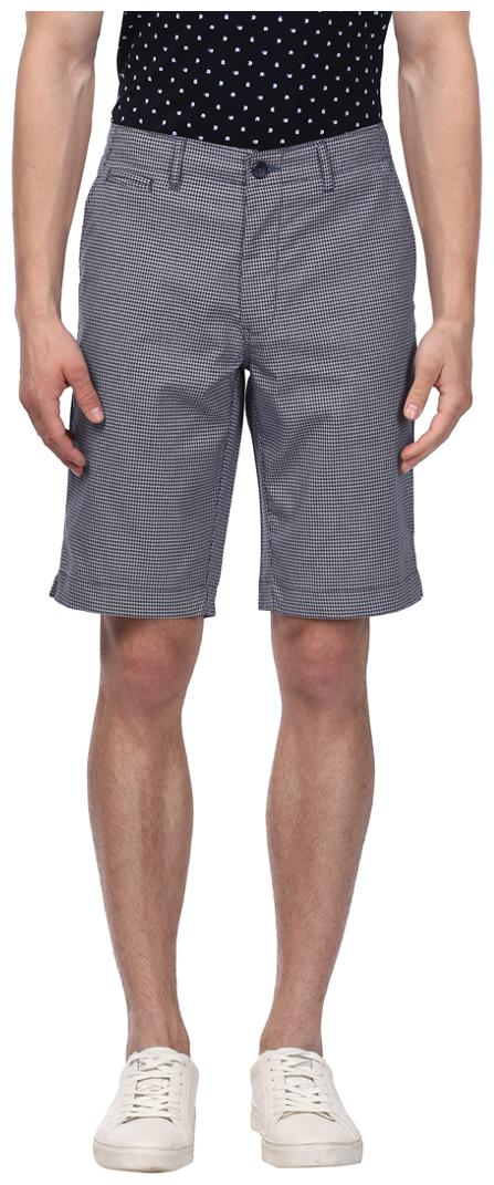 

ColorPlus Men Blue Regular Fit Regular Shorts