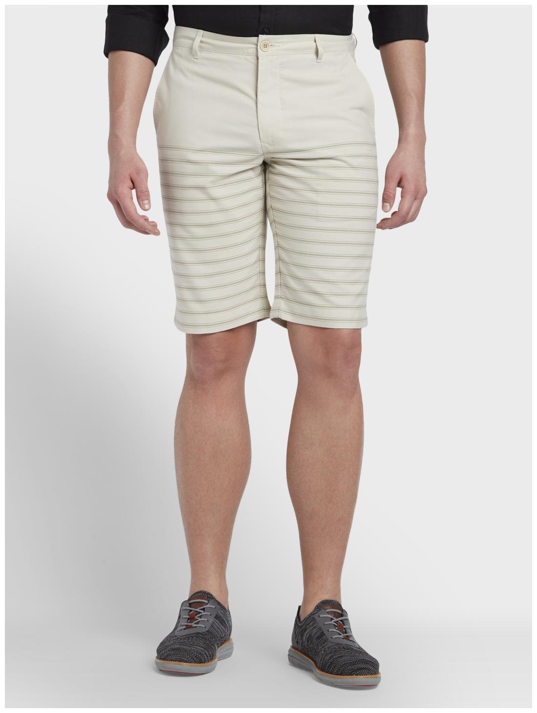 

ColorPlus Men Beige Regular Fit Regular Shorts