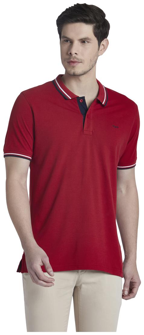 

ColorPlus Men Red Regular fit Cotton Blend Polo collar T-Shirt - Pack Of 1