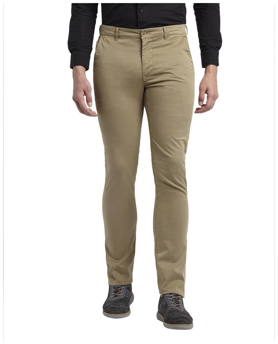 

ColorPlus Men Beige Solid Regular fit Regular trousers