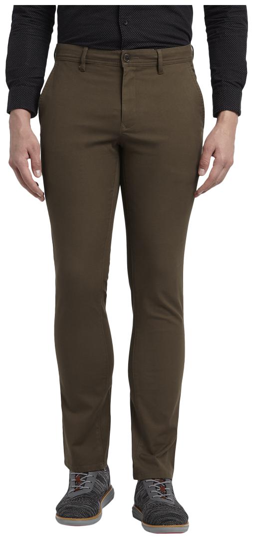 

ColorPlus Men Brown Solid Regular fit Regular trousers