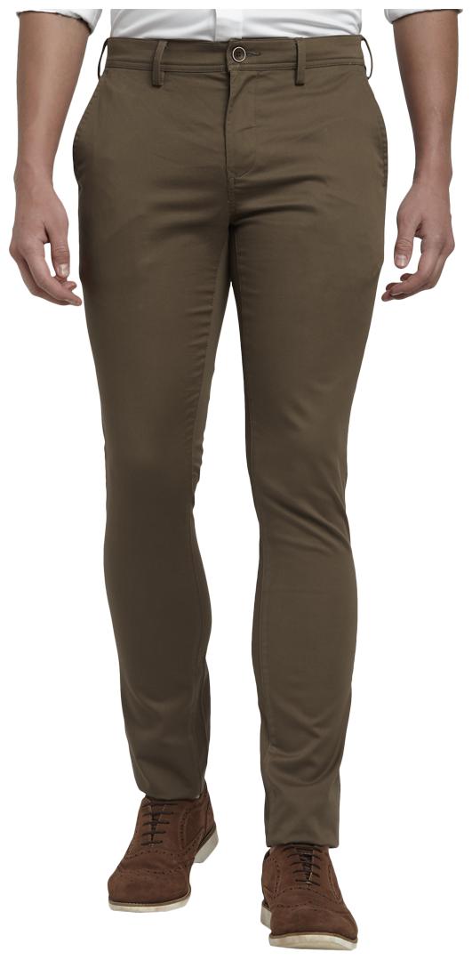 

ColorPlus Men Brown Solid Regular fit Regular trousers