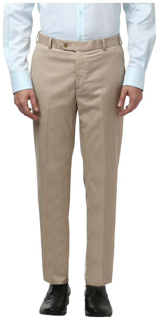 

ColorPlus Men Brown Solid Regular fit Regular trousers