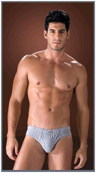 Dollar Club Solid Briefs - Grey